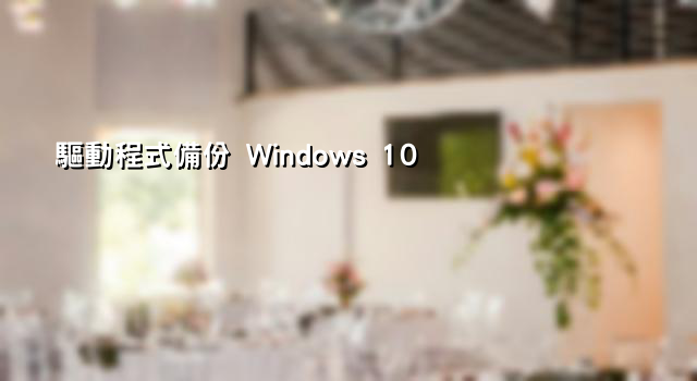 驅動程式備份 Windows 10 