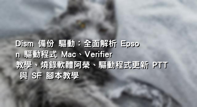 Dism 備份 驅動：全面解析 Epson 驅動程式 Mac、Verifier 教學、燒錄軟體阿榮、驅動程式更新 PTT 與 SF 腳本教學