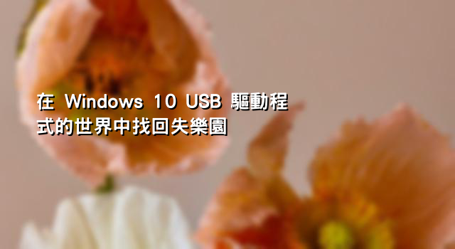 在 Windows 10 USB 驅動程式的世界中找回失樂園