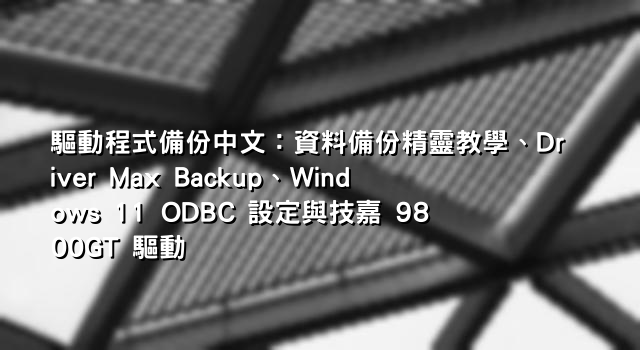 驅動程式備份中文：資料備份精靈教學、Driver Max Backup、Windows 11 ODBC 設定與技嘉 9800GT 驅動