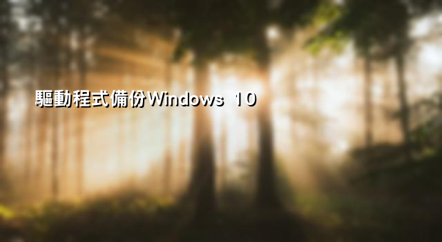 驅動程式備份Windows 10