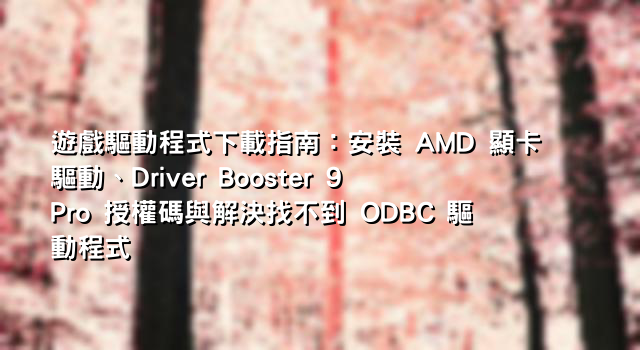 遊戲驅動程式下載指南：安裝 AMD 顯卡驅動、Driver Booster 9 Pro 授權碼與解決找不到 ODBC 驅動程式