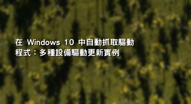 在 Windows 10 中自動抓取驅動程式：多種設備驅動更新實例