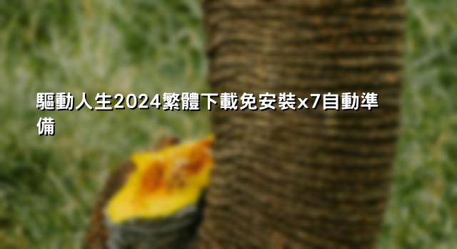 驅動人生2024繁體下載免安裝x7自動準備