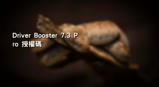 Driver Booster 7.3 Pro 授權碼