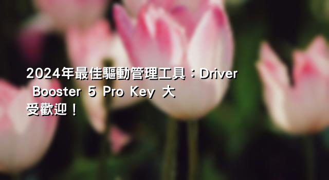 2024年最佳驅動管理工具：Driver Booster 5 Pro Key 大受歡迎！