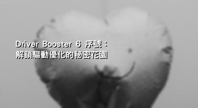 Driver Booster 6 序號：解鎖驅動優化的秘密花園