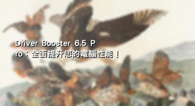 Driver Booster 6.5 Pro：全面提升您的電腦性能！