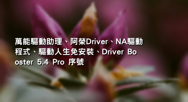 萬能驅動助理、阿榮Driver、NA驅動程式、驅動人生免安裝、Driver Booster 5.4 Pro 序號