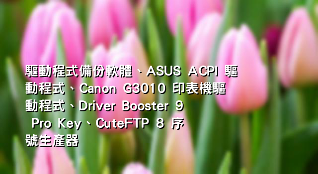 驅動程式備份軟體、ASUS ACPI 驅動程式、Canon G3010 印表機驅動程式、Driver Booster 9 Pro Key、CuteFTP 8 序號生產器