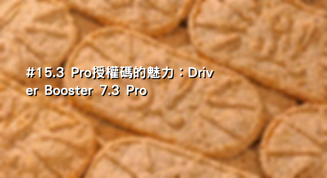 #15.3 Pro授權碼的魅力：Driver Booster 7.3 Pro