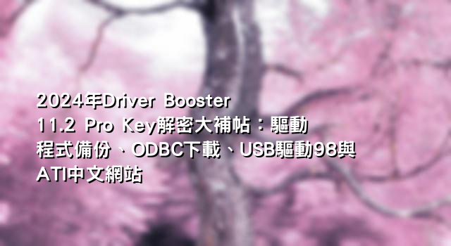 2024年Driver Booster 11.2 Pro Key解密大補帖：驅動程式備份、ODBC下載、USB驅動98與ATI中文網站